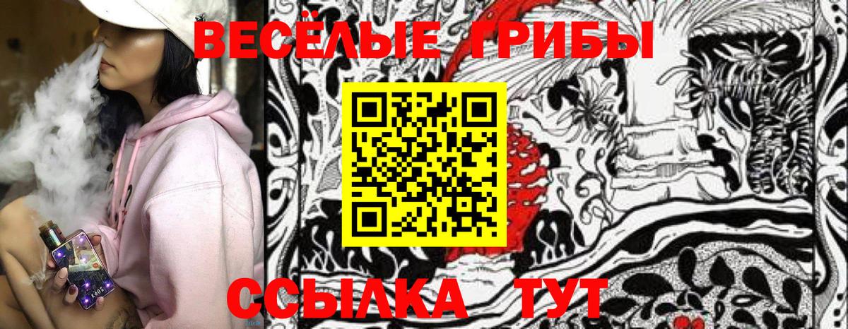 Буйнакск  Галлюциногенные грибы Psilocybine cubensis  закладка  Вход с VPN 