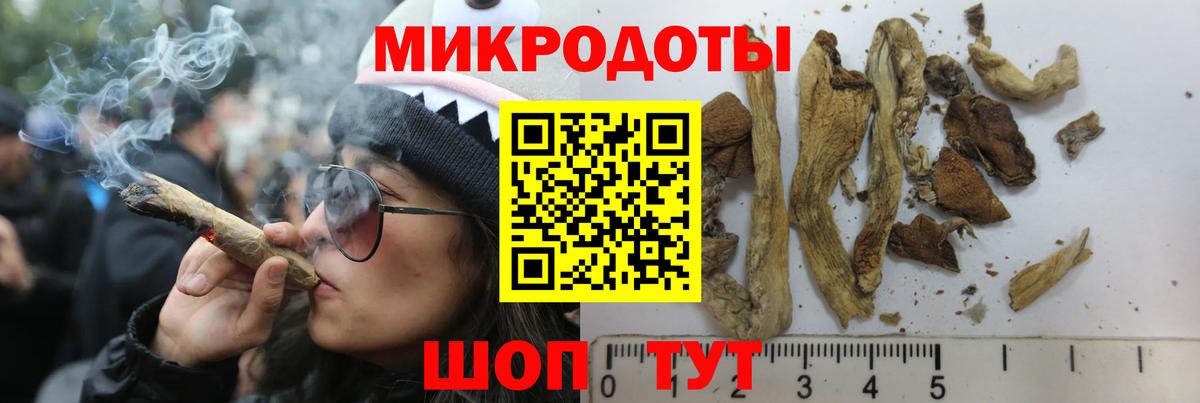 Псилоцибиновые грибы ЛСД Буйнакск